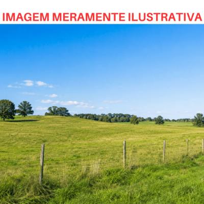 Fração Ideal (25%) de Sítio Rural 17,71 ha – Iepê – Sp