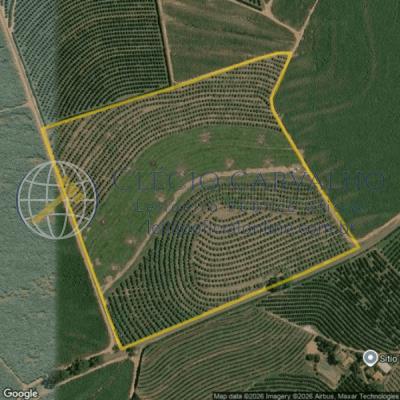 Fazenda Santa Maria – 169.400m² – Aparecida de Monte Alto/SP