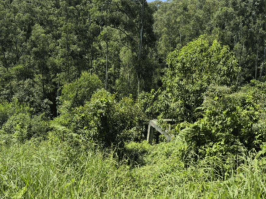 Foto ilustrativa 3 - Terreno 700m² – Cajamar – SP