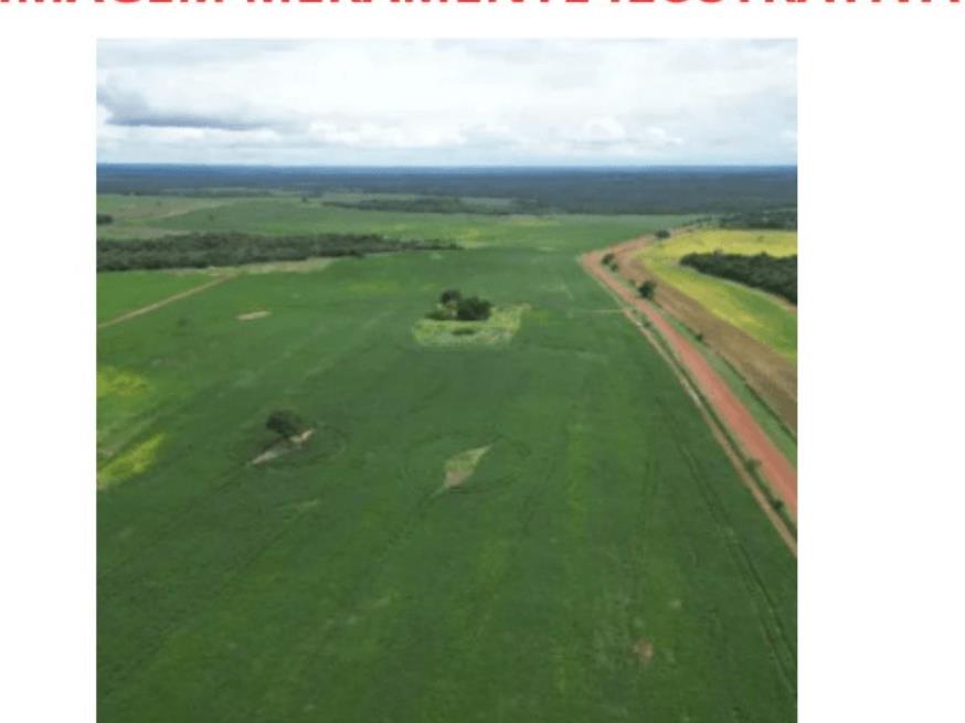 Foto ilustrativa 1 - Área rural – 100 Ha – Nova Roma – GO