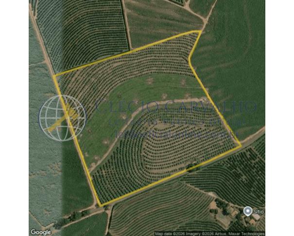 Foto de Fazenda Santa Maria - 169.400m² - Aparecida de Monte Alto/SP
