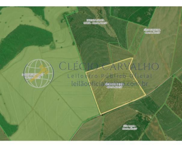 Foto de Fazenda Santa Maria - 169.400m² - Aparecida de Monte Alto/SP