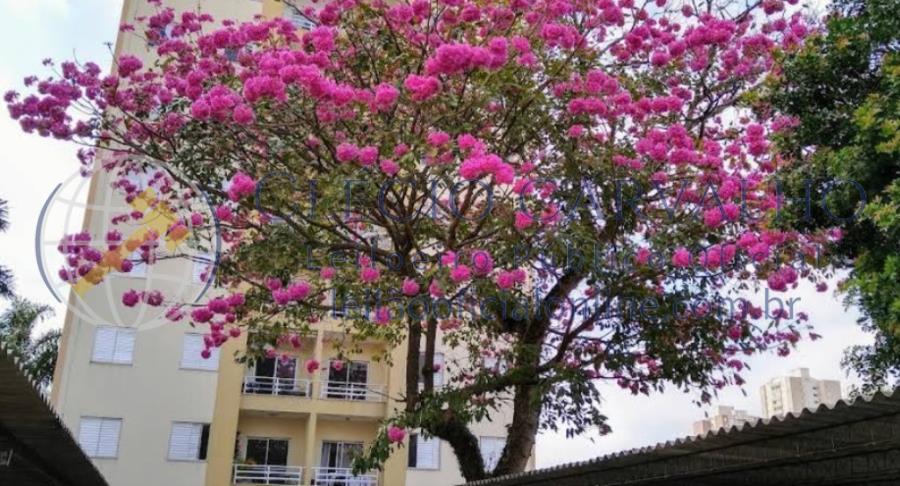 Apartamento 55m² - São José dos Campos - Sp Apartamento 55m², localizado em São José Dos Campos - SP, bairro Cidade Morumbi