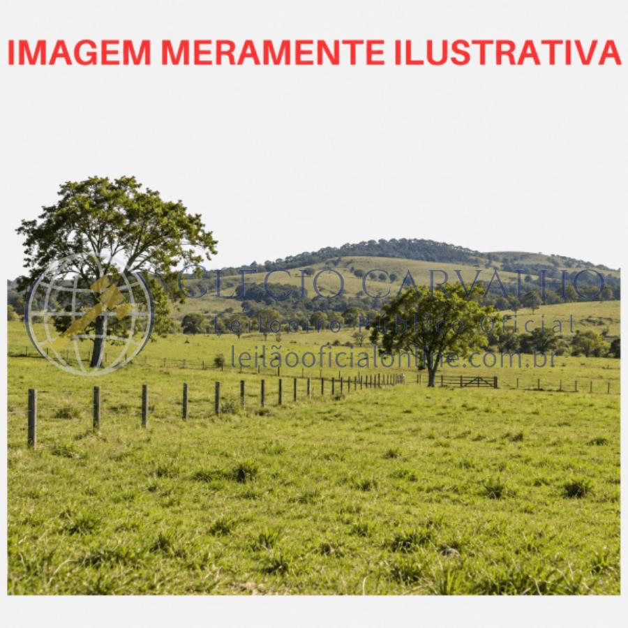 Imagem do imóvel Parte ideal de 50% de área rural de 24,20 hectares - Guararapes - SP Parte ideal de 50% de área rural de 24,20 hectares