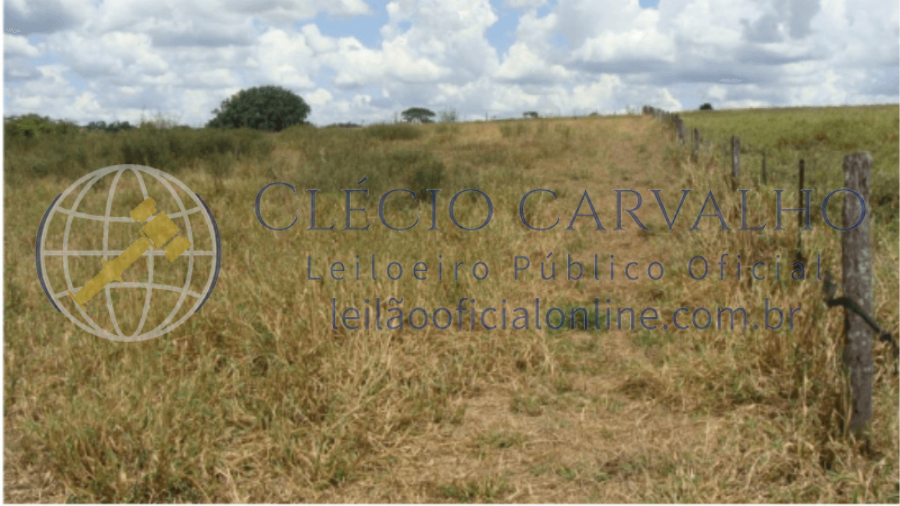 1668 L.3 Imóvel Rural 5,219 Ha, localizado em Dracena - SP