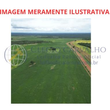 Área rural - 100 Ha - Nova Roma - GO